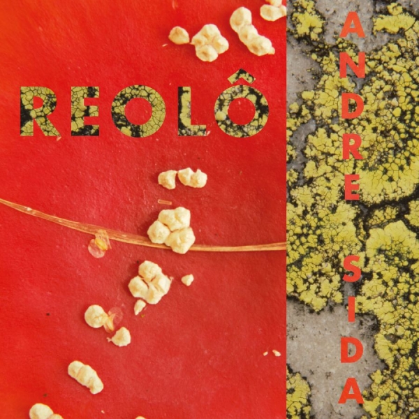 Reolo - Andre Sida in the group VINYL / Upcoming releases / World Music at Bengans Skivbutik AB (5673465)