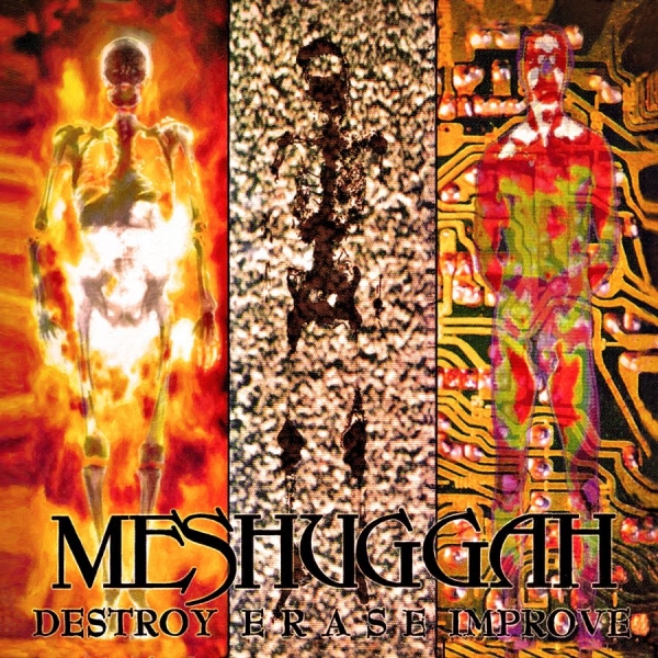 Meshuggah - Destroy Erase . Grey Marble in the group VINYL / Upcoming releases / Hårdrock at Bengans Skivbutik AB (5675302)