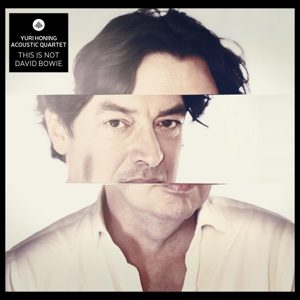 Yuri Honing Acoustic Quartet - This Is Not David Bowie in the group CD / Upcoming releases / Jazz at Bengans Skivbutik AB (5677310)