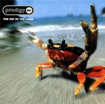 The Prodigy - The Fat Of The Land in the group CD / Bestsellers at Bengans Skivbutik AB (5678106)