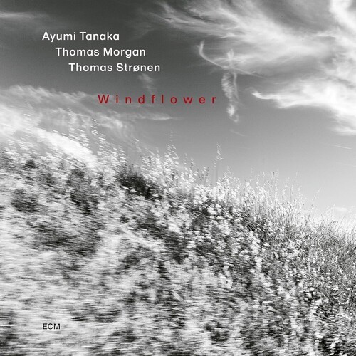 Ayumi Tanaka Thomas Morgan Thomas - Windflower in the group OUR PICKS / Friday Releases / 2026-08-21 at Bengans Skivbutik AB (5678178)