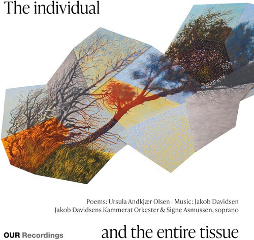 Jakob Davidsen - The Individual And The Entire Tissu in the group CD / Klassiskt at Bengans Skivbutik AB (5678449)