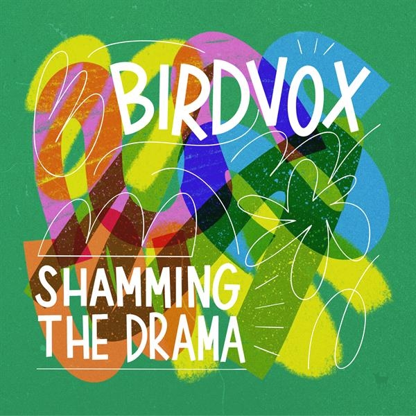 Birdvox - Shamming The Drama in the group VINYL / Upcoming releases / World Music at Bengans Skivbutik AB (5679021)