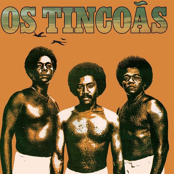 Os Tincoas - Os Tincoas in the group VINYL / Upcoming releases / World Music at Bengans Skivbutik AB (5679336)