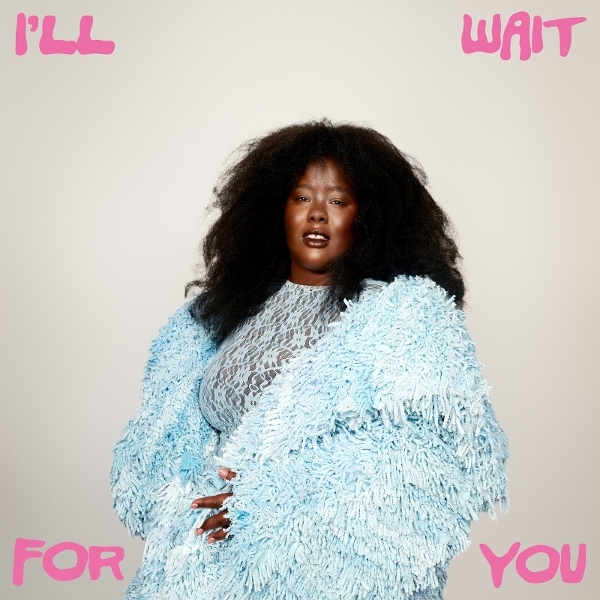 Nnavy - I'll Wait For You in the group VINYL at Bengans Skivbutik AB (5680230)