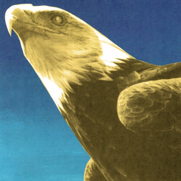 Protomartyr - Hotel Usona in the group VINYL / Upcoming releases / Pop-Rock at Bengans Skivbutik AB (5680267)