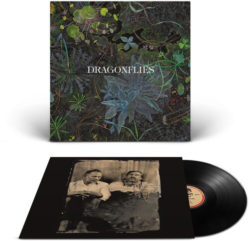 The Dragonflies - Dragonflies (Vinyl) in the group VINYL / Pop-Rock at Bengans Skivbutik AB (5680805)