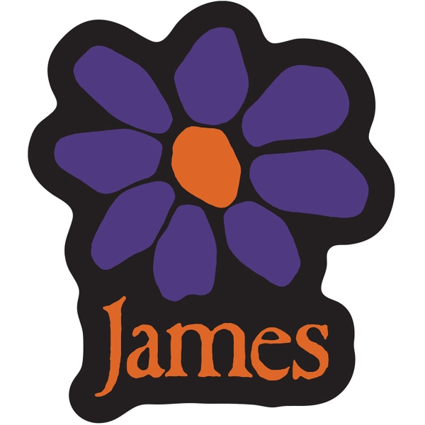 James - Orange Logo Purple Daisy Sticker in the group MERCHANDISE / Merch / Kommande / Pop-Rock at Bengans Skivbutik AB (5680924)