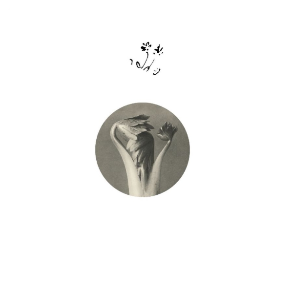 Returning Sweetness (Eversines) - Longevity Eyebrow in the group VINYL / Upcoming releases / Pop-Rock at Bengans Skivbutik AB (5681481)