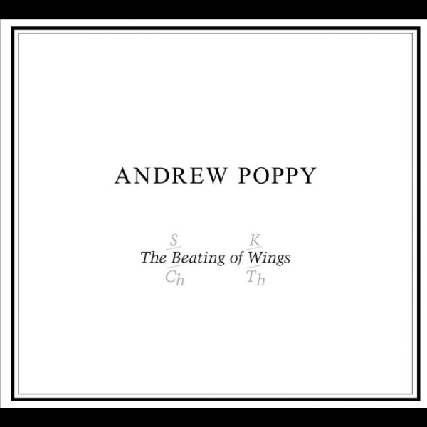 Andrew Poppy - The Beating Of Wings in the group CD / Upcoming releases / Pop-Rock at Bengans Skivbutik AB (5681499)