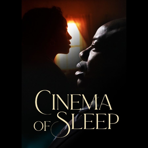 Various Artists - Cinema Of Sleep in the group OTHER / Music-DVD & Bluray / Kommande at Bengans Skivbutik AB (5682050)
