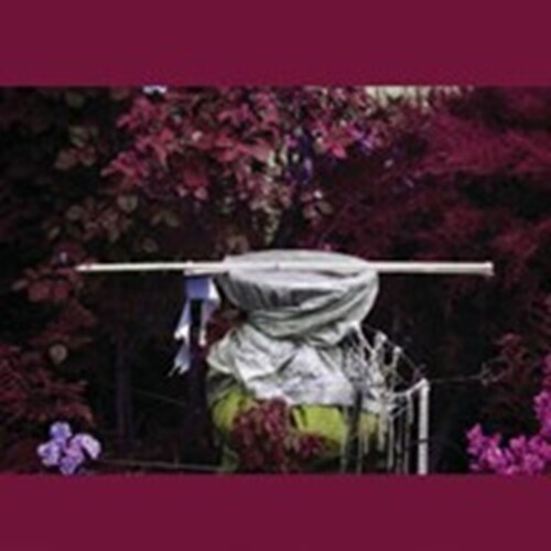 Ava Mendoza - Alive Alone Alive Together in the group CD / Bestsellers at Bengans Skivbutik AB (5682219)