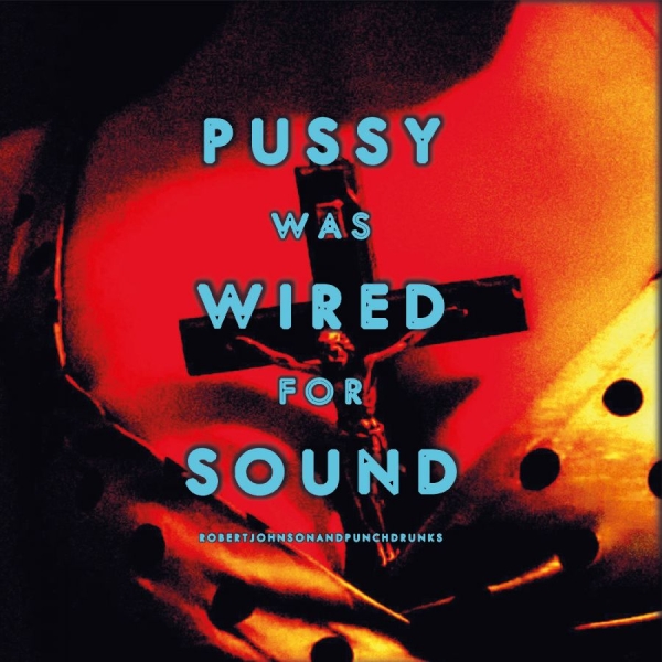 Johnson Robert And Punchdrunks - Pussy Was Wired For Sound (Orange V in the group VINYL / Upcoming releases / Pop-Rock at Bengans Skivbutik AB (5682571)