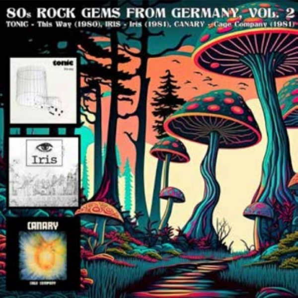 Various Artists - 80S Rock Gems From Germany Vol. 2 in the group OUR PICKS / Frontpage - Vinyl New & Forthcoming at Bengans Skivbutik AB (5682748)