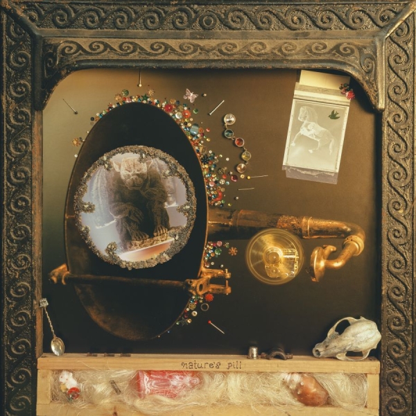 Wishy - Nature's Pill in the group CD / Upcoming releases / Pop-Rock at Bengans Skivbutik AB (5683564)