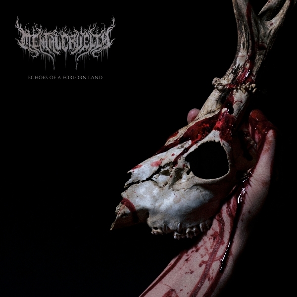 Cruelty Mental - Echoes Of A Forlorn Land in the group VINYL / Most Pre-Ordered at Bengans Skivbutik AB (5683720)