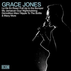 Grace Jones - Icon in the group CD / Pop at Bengans Skivbutik AB (568442)
