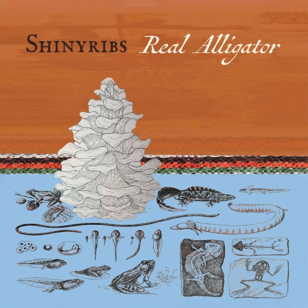 Shinyribs - Real Alligator in the group CD / Upcoming releases / Pop-Rock at Bengans Skivbutik AB (5684549)