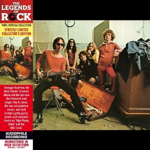 Flamin' Groovies - Teenage Head in the group CD / Pop-Rock at Bengans Skivbutik AB (568565)