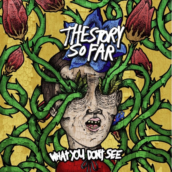 Story So Far The - What You Don't See in the group VINYL / Upcoming releases / Pop-Rock at Bengans Skivbutik AB (5685802)
