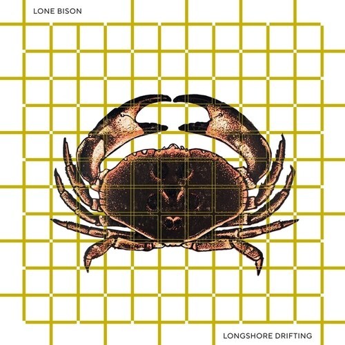 Lone Bison - Longshore Drifting in the group VINYL / Pop-Rock at Bengans Skivbutik AB (5685860)