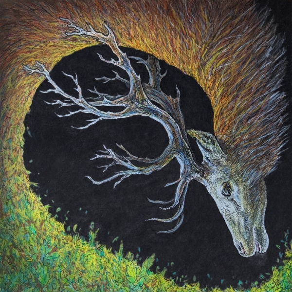 Petrels - Infangthief in the group CD / Upcoming releases / Pop-Rock at Bengans Skivbutik AB (5686009)