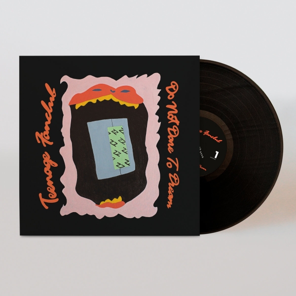 Teenage Fanclub - Do Not Dare To Dream in the group VINYL / Pop-Rock at Bengans Skivbutik AB (5686785)