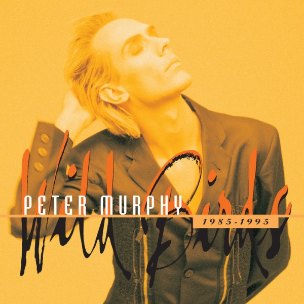 Peter Murphy - Wild Birds 1984-1995 in the group CD / Bestsellers at Bengans Skivbutik AB (5687121)