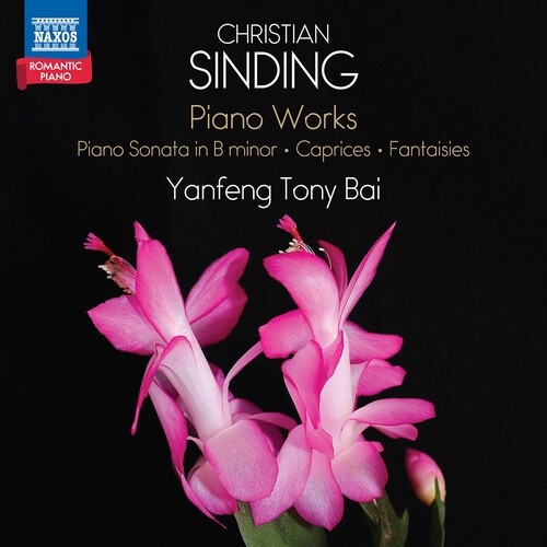 Christian Sinding - Piano Works in the group CD / Klassiskt at Bengans Skivbutik AB (5687286)