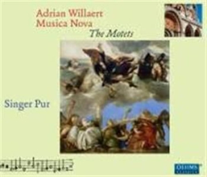 Willaert Adrian - The Motets in the group Externt_Lager /  at Bengans Skivbutik AB (568729)