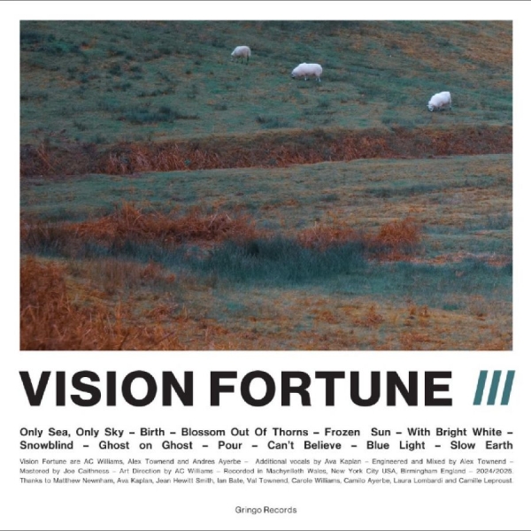 Vision Fortune - Iii in the group VINYL / Upcoming releases / Pop-Rock at Bengans Skivbutik AB (5687291)