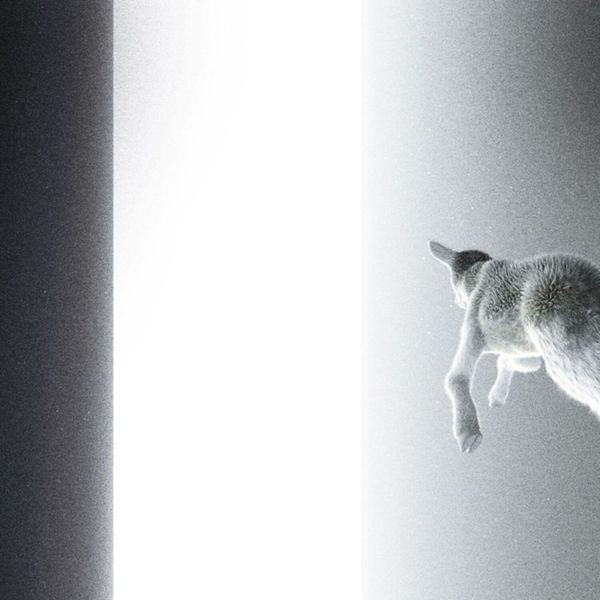 Panoram - Keep Looking Where The Light Comes in the group VINYL / Pop-Rock at Bengans Skivbutik AB (5687594)