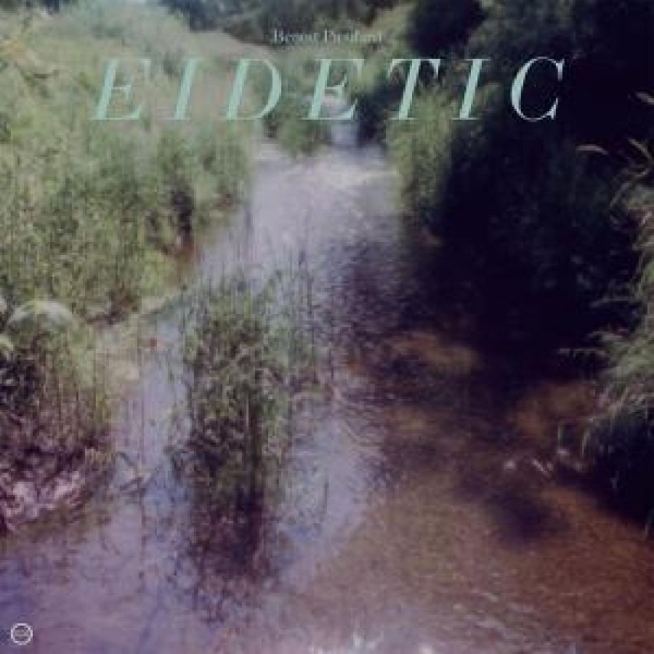 Pioulard Benoit - Eidetic in the group VINYL / Bestsellers at Bengans Skivbutik AB (5687618)