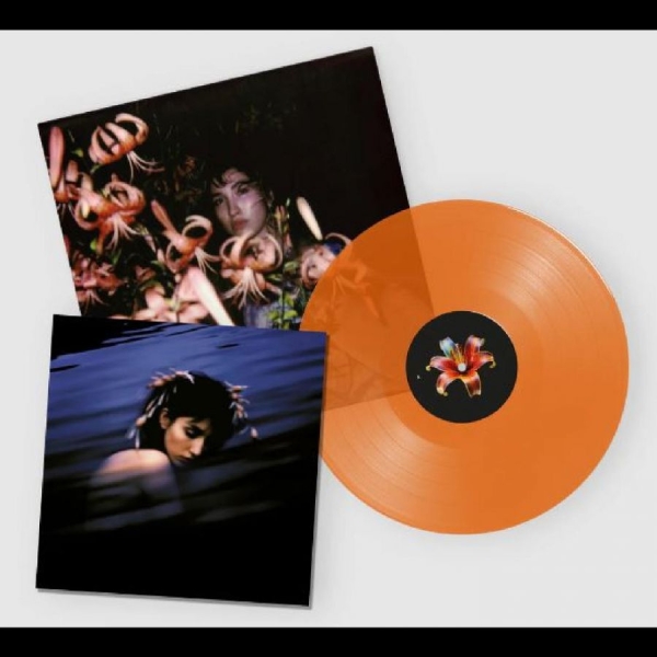 Hurt Shirley - Hurt, Shirley in the group VINYL / Bestsellers at Bengans Skivbutik AB (5687829)