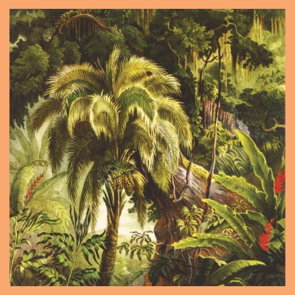 Xiu Xiu - La Foret (Jade Eco-Mix Vinyl) in the group VINYL / Upcoming releases / Pop-Rock at Bengans Skivbutik AB (5688014)