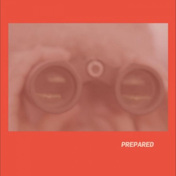 Martin Laura J - Prepared in the group VINYL / Bestsellers at Bengans Skivbutik AB (5688064)