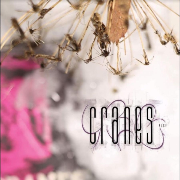 Cranes - Fuse in the group CD / Bestsellers at Bengans Skivbutik AB (5689502)