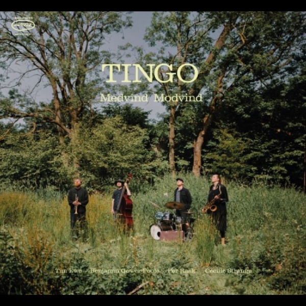 Tingo - Medvind Modvind in the group VINYL / Upcoming releases / Jazz at Bengans Skivbutik AB (5689941)