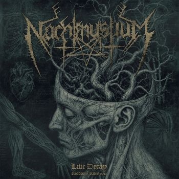 Nachtmystium - Live Decay: Roadburn 2012 in the group CD / Hårdrock at Bengans Skivbutik AB (5690013)