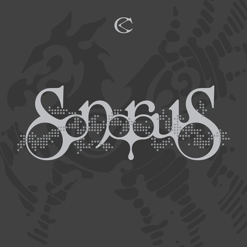 Cravity - Sonorous (Echo Ver.) in the group CD / Upcoming releases / K-Pop at Bengans Skivbutik AB (5690485)