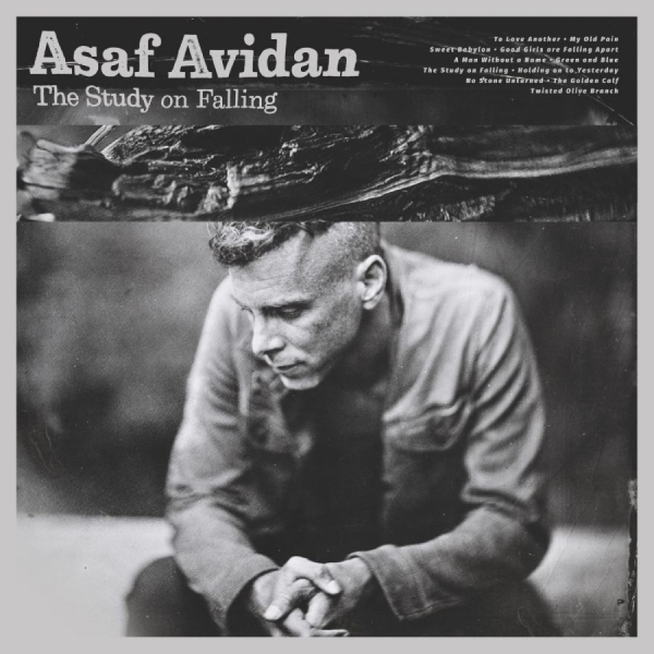 Avidan Asaf - The Study On Falling in the group VINYL / Upcoming releases / Pop-Rock at Bengans Skivbutik AB (5690533)