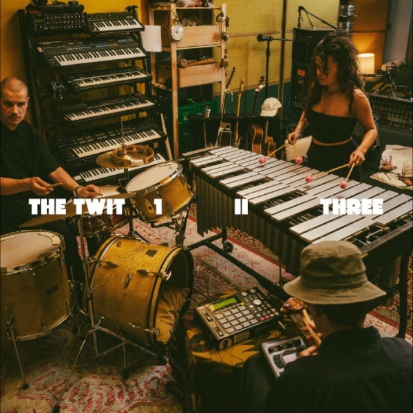The Twit 1 Ii Three - The Twit 1, Ii, Three in the group VINYL / Most Pre-Ordered at Bengans Skivbutik AB (5690885)