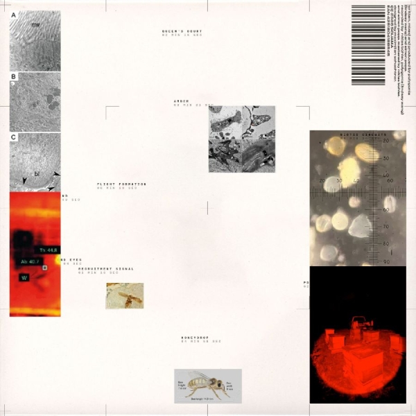 Polygonia Simon Popp - Apiformes in the group VINYL / Upcoming releases / Jazz at Bengans Skivbutik AB (5690957)