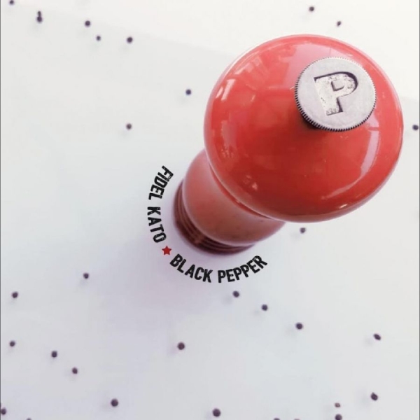 Fidel Kato - Black Pepper in the group VINYL / New releases / Pop-Rock at Bengans Skivbutik AB (5692108)