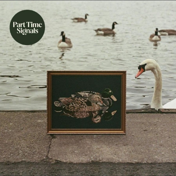 Part Time Signals - Ducks Back, Baby in the group VINYL / Upcoming releases / Pop-Rock at Bengans Skivbutik AB (5692135)