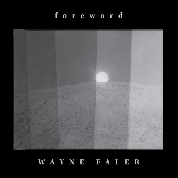 Faler Wayne - Foreword in the group VINYL / Upcoming releases / Pop-Rock at Bengans Skivbutik AB (5692339)