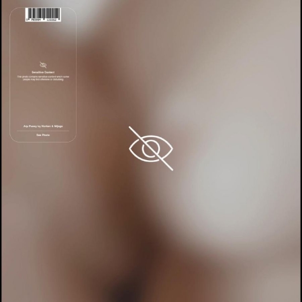 Norken & Mijaga - Arp Pussy in the group VINYL / Pop-Rock at Bengans Skivbutik AB (5694128)