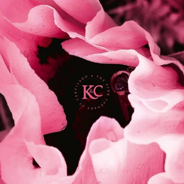 Kolman & Calvert - The Pink Carnage Of Cartilago in the group CD / Pop-Rock at Bengans Skivbutik AB (5694184)