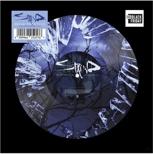 Staind - Break The Cycle (25Th Anniversary Live) (Picture Disc) (Rsd) in the group VINYL / Hårdrock at Bengans Skivbutik AB (5694326)