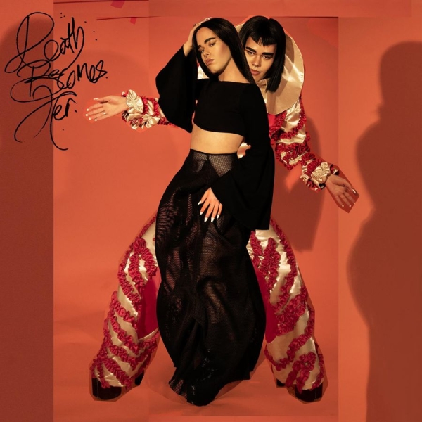 Angel-Ho - Death Becomes Her in the group VINYL / Pop-Rock at Bengans Skivbutik AB (5694660)